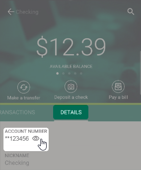 Account Number Masked on Mobile