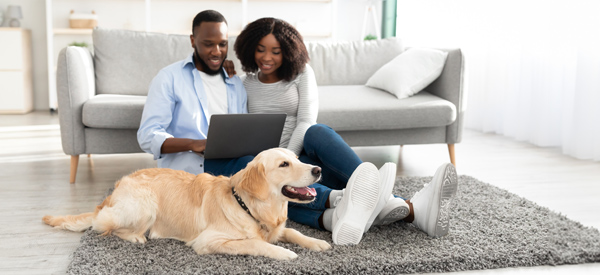 Couple with dog looking at finances on computer